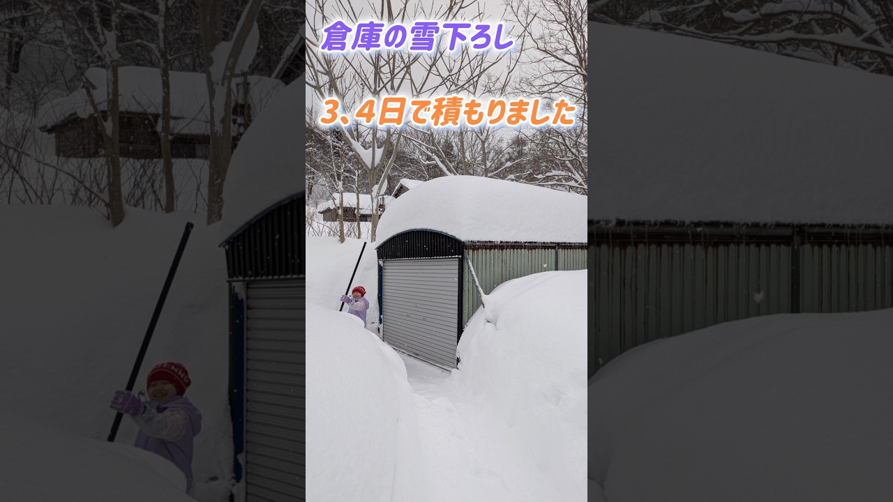 倉庫に積もったモリモリの雪を下ろします！【除雪】#北海道
