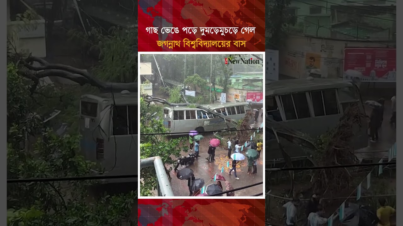 গাছ ভেঙে পড়ে দুম'ড়েমু'চড়ে গেল জগন্নাথ বিশ্ববিদ্যালয়ের বাস II The New Nation