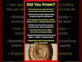 Mind-Blowing Facts About Your Subconscious Nobody Tells You 🧠🌀
