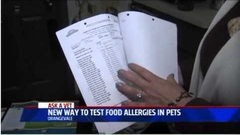 Testing for Food Allergies - Ask a Vet with Dr. Jyl