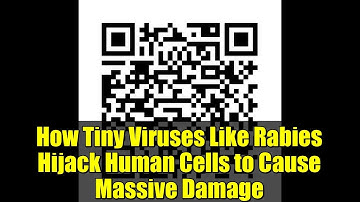 How Tiny Viruses Like Rabies Hijack Human Cells to Cause Massive Damage | New Research Explained