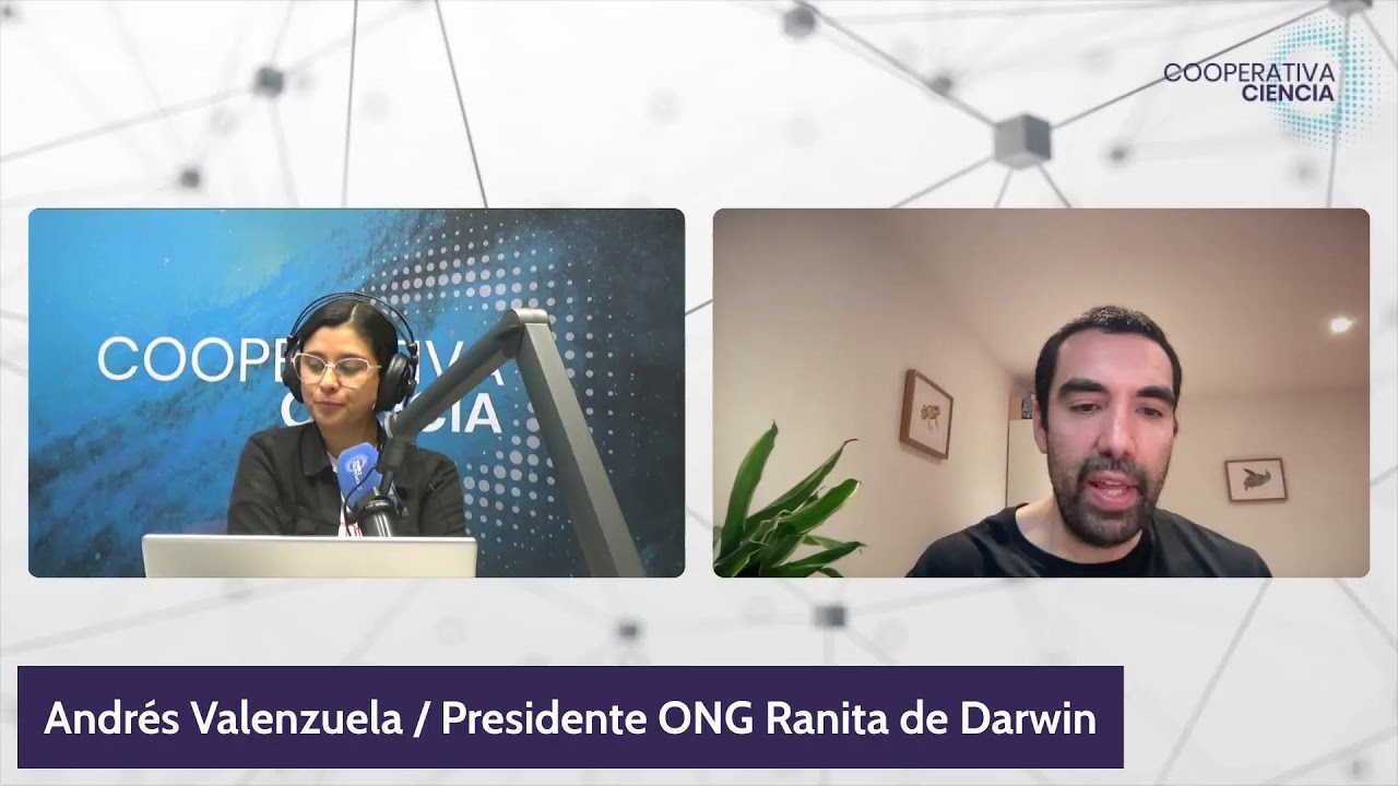 En los medios: Ranitas de Darwin y conservación de bosques nativos