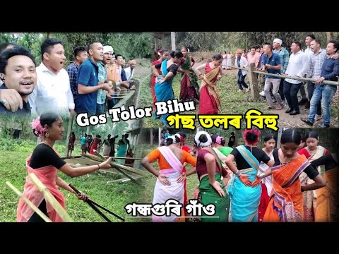 Moran Gos Tolor Bihu।। গছ তলৰ বিহু।। গন্ধগুৰি গাঁওৰ বিহু।।moran bihu ...