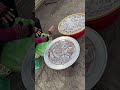 Canlı yayından öne çıkan video Phu quoc adası VİETNAM