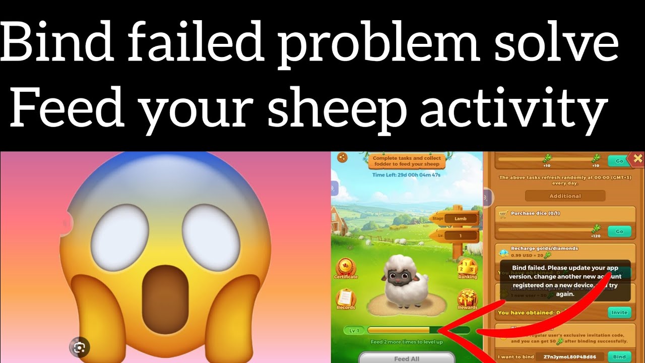 bind failed problem solve feed your sheep activity in yalla ludo - YouTube