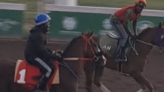 Caymanas Park Exercise Track your tips and winners are right here 06/02/26