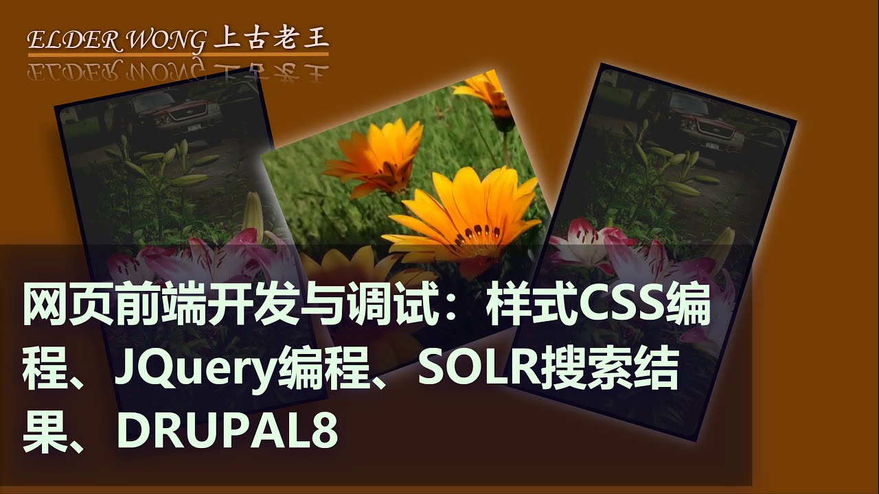 网页前端开发与调试(第一集):样式CSS编程、JQuery编程、SOLR搜索结果、DRUPAL8 scss, jquey, frontend, solr search result