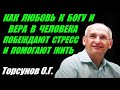 Как любовь к Богу и Вера в человека побеждают стресс и помогают жить. Торсунов О.Г.