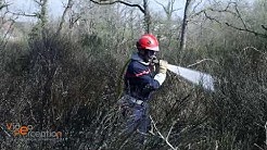 Feu de sous bois à Wittelsheim