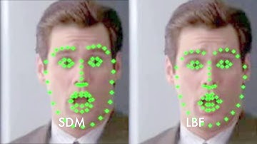 Face Alignment on challenging examples: SDM vs LBF