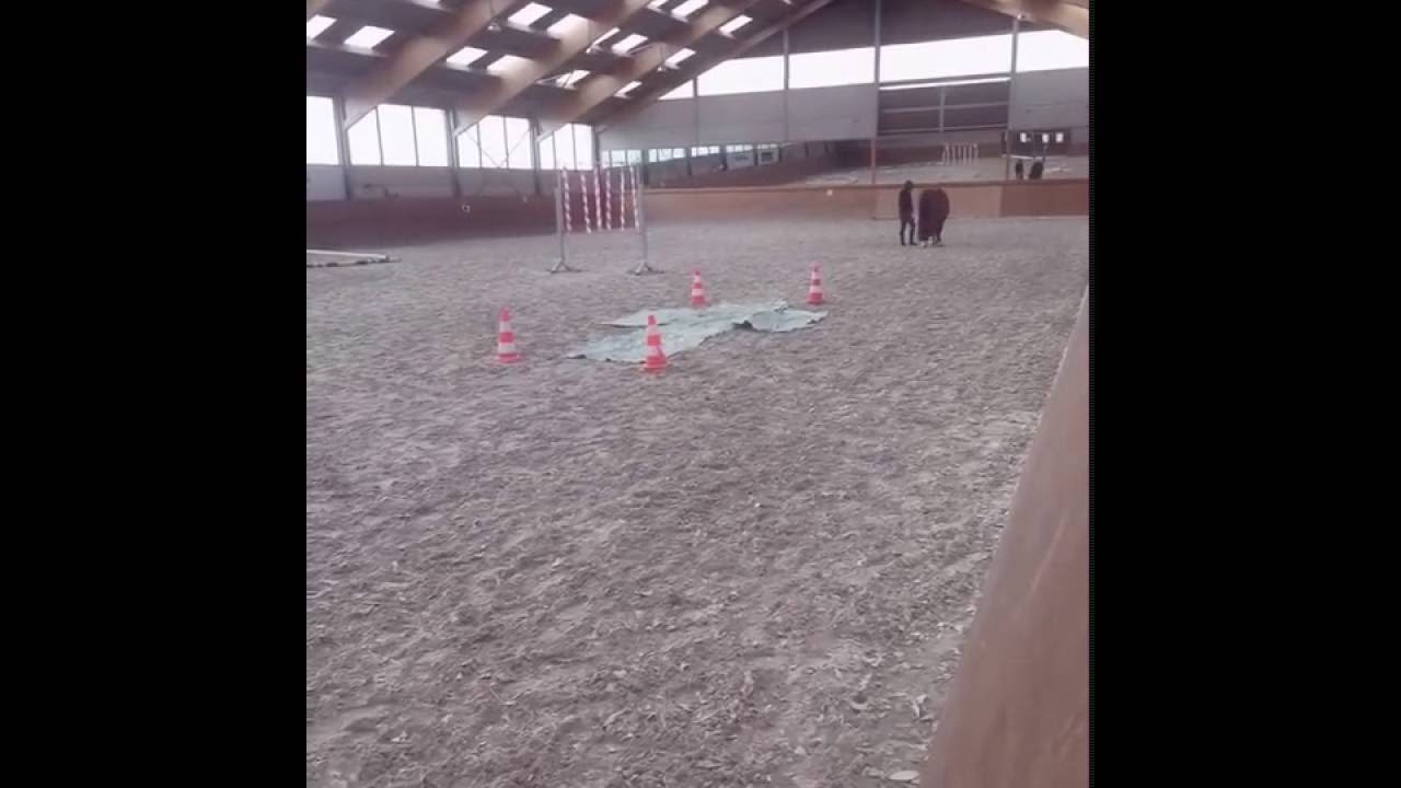 Gelassenheits training