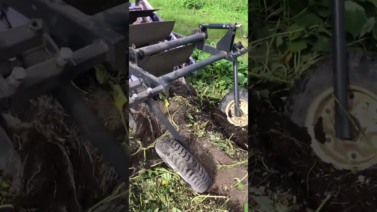 さつまいも収穫機ポテカルゴ始動！ - YouTube