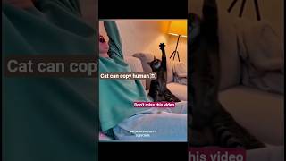 “You think cats can’t copy humans?😂🤣 really💀☠️ #cat #catvideo #aura #attitude #kitten #smart