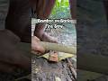 Fire saws use bamboo that is rubbed against tree bark. #primitivefirelighting #bushcraft
