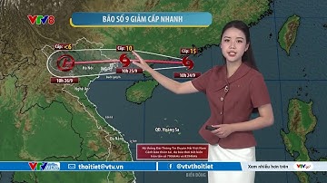 Dự báo thời tiết biển ngày 24/09/2025 | Bão số 9 giảm cấp nhanh | VTVWDB