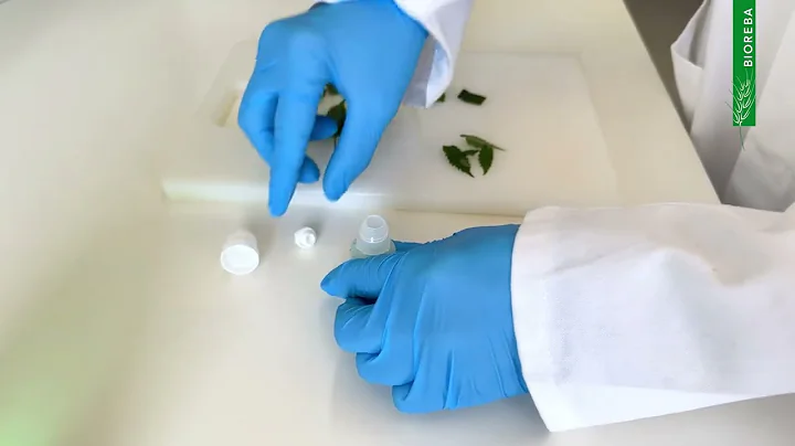 How to use AgriStrip cassette?