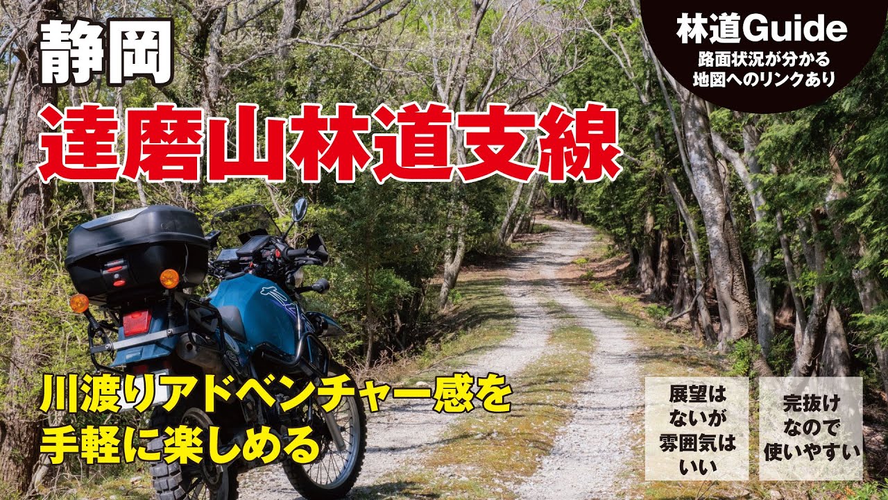 【静岡・伊豆】達磨山林道支線〜アドベンチャー感も楽しめる爽快林道