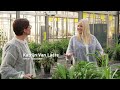 Bioeconomy EU: What it is and how it already makes 5% of the EU's GDP