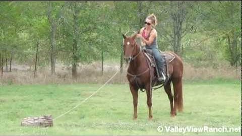 Doc Star Appeal  ***For info, price, etc., go to our website*** Valley View Ranch