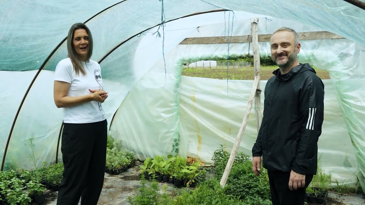 KALOPER neopravdano zaboravljena, vrlo lekovita biljka