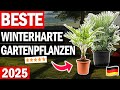 WINTERHARTE GARTENPFLANZEN kaufen: Top 3 Winterharte Gartenpflanzen 2026 im Vergleich!