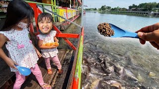 บริ้งค์ไบรท์ | ให้อาหารปลา ที่วัดท่าการ้อง จ.อยุธยา