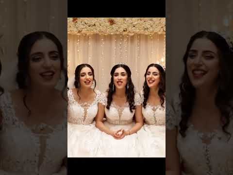 عرس بلا مهر العرائس كامل يستناو لخضر اكسبلور محتوى عربي الذكاء الاصطناعى زواج