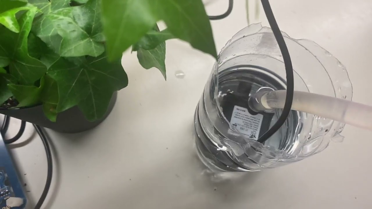 EECS 1021 MINOR PROJECT - Eyinojuoluwa Akin-salami