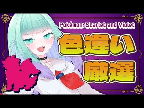【 ポケモンSV/雑談 】ハロウィン交換会に向けて色違い厳選するぞ✨犬厳選の続き編【 Vtuber/ぽこぺでぃあ 】