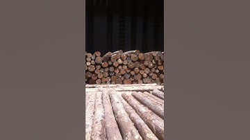 Log Loading in ships hold