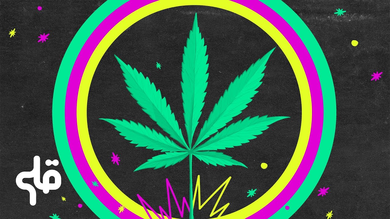 الزطلة... اقتصادها في العالم.