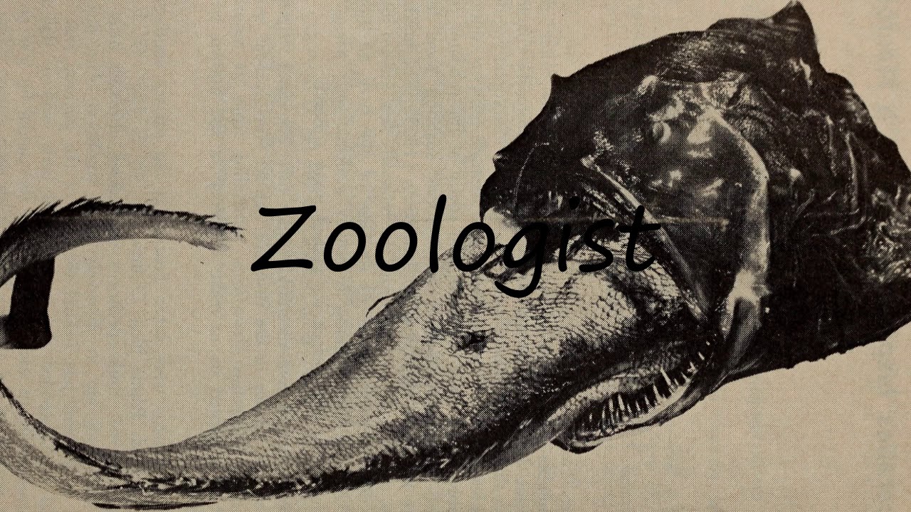 How to Pronounce Zoologist? YouTube