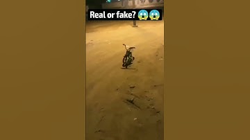 Fear files ☠️Real Ghost or Fake ?? 👻 🌍 😱 comment 💬#fearfiles #bhoot #horrorstories #viral #trending