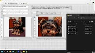 LabVIEW (Data Files) #EP8: Reading XML Files and Applications for Cropping Images