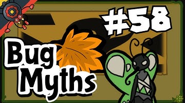 Bug Fables Myth #58: Ven Hates Ruffians