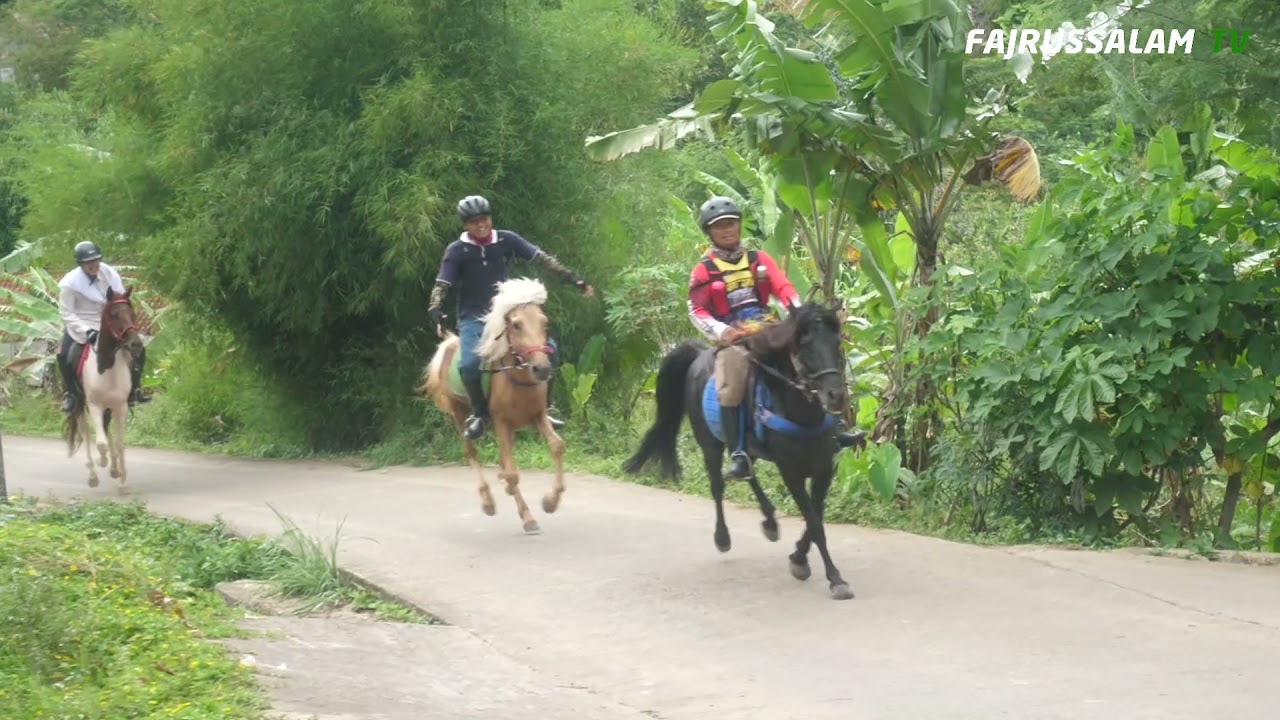 Viral ..!!! NEROBOS Hutan Gunung Pancar Bogor Dengan Berkuda.