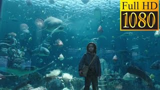 Aquaman Aquarium scene - Aquaman - 2018 - 720p - blu-ray Resimi