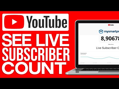 How To See Live Subscriber Count on