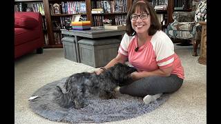 Soft, fuzzy rug - washable too! So comfy! 2x6 Runner Rug for Bedroom: Fluffy Shag Soft Washable Rugs