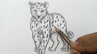 Drawing a Leopard with Pencil Shading
