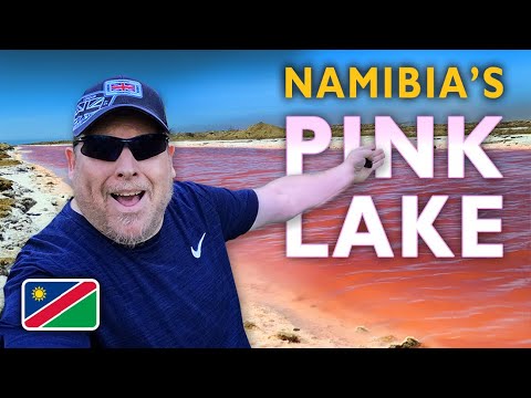 YOU'VE TO SEE THIS TO BELIEVE IT! Walvis Bay Namibia 🇳🇦