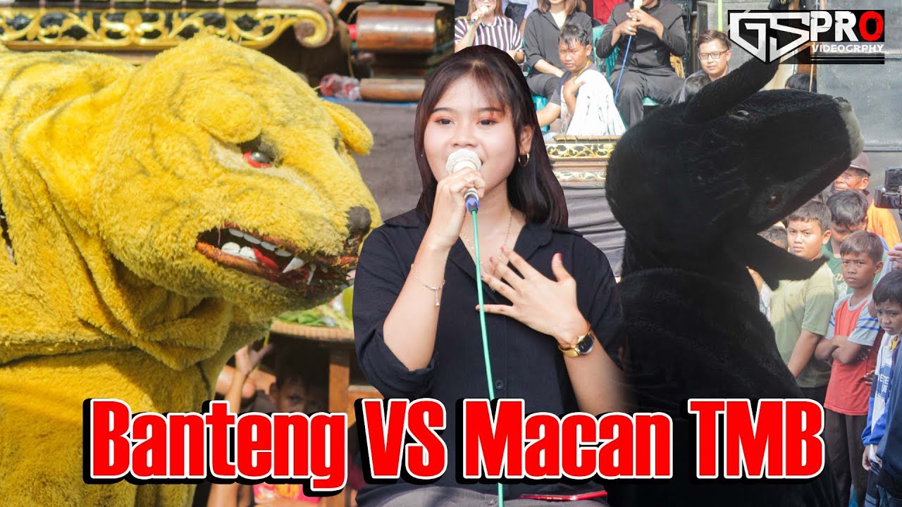 banteng macan turonggo manunggal budhoyo live bojong