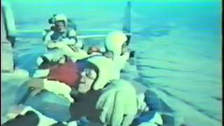 Skydive - Skydiving in the 1970s