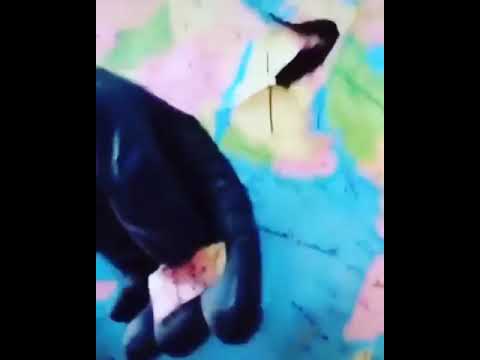 اذا نشيل العراق وين نودي