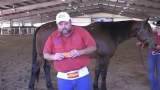 Advanced patching protocol for barrel racing
