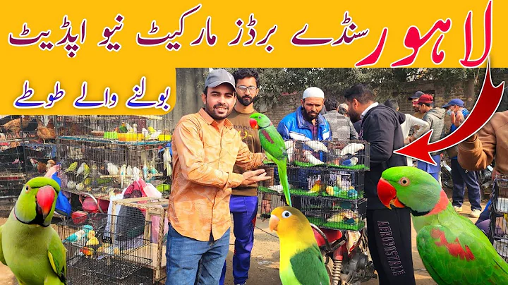Lahore sunday birds market New update price 14-12-2025 #lahorientertainmentchannel #birds #parrot