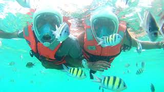 Snorkeling at Havelock, Andaman Islands - February 2021