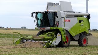 Graszaad Oogst Met Claas Tucano 430. Akkerb. Mts.vanmastwijk.