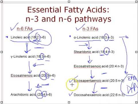DN A475 Lipids Part 1 Structure