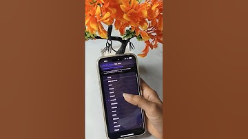 How to Set a Custom Text Tone on iPhone! #shorts
